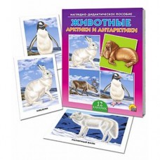 Дидактическое пособие Животные Арктики и Антарктики ПД-9166