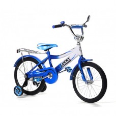 Велосипед двухколесный 14" Lucky с ручкой синий KG-1418